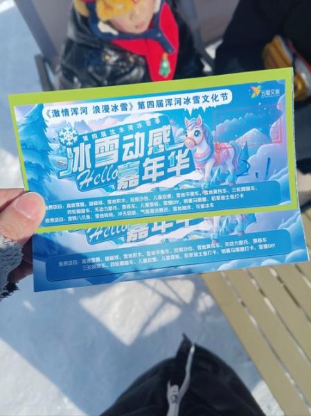 荡口古镇冰雪嘉年华门票价格_值得去吗