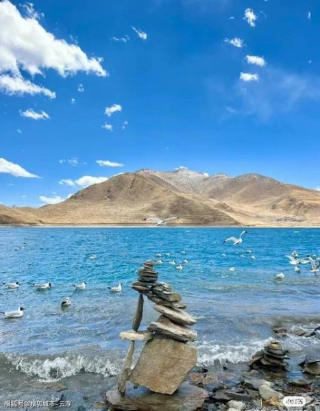 西藏野狼户外俱乐部怎么样_去西藏跟团选野狼靠谱吗