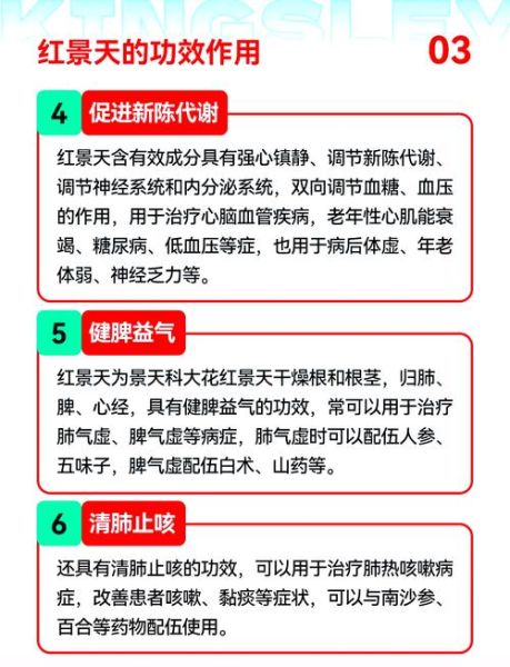 去高原前多久喝红景天_红景天能预防高反吗