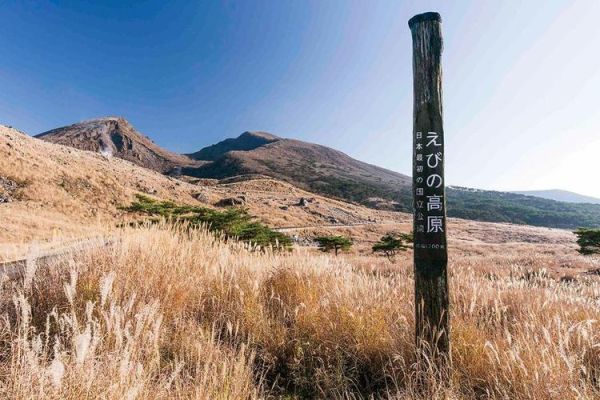 虾野高原在哪里_虾野高原有什么好玩的