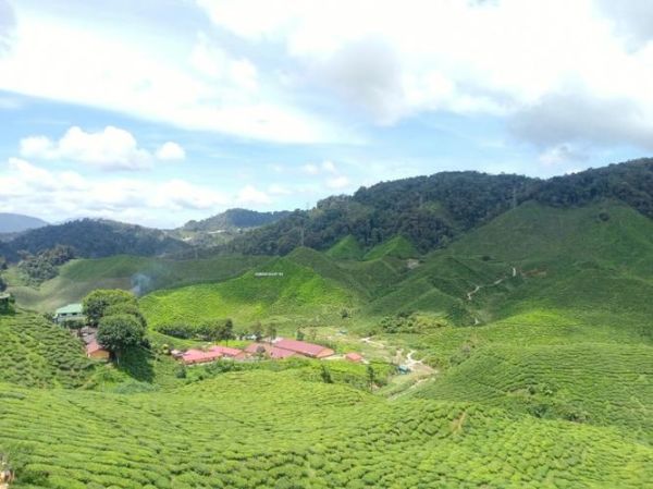 金马伦高原和云顶高原哪个冷_金马伦高原和云顶高原哪个好玩