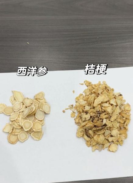 高原反应吃西洋参含片有用吗_西洋参含片能预防高反吗