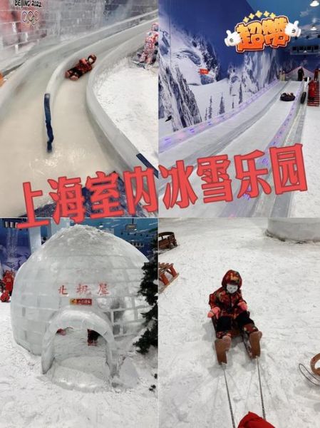上海冰雪嘉年华在哪_门票价格多少