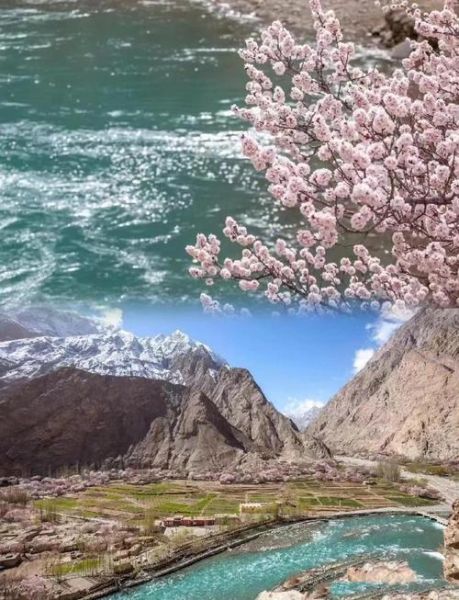 帕米尔高原春天什么时候去_帕米尔高原春天有哪些花