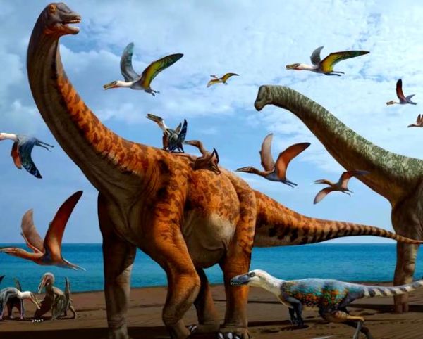 高原巨龙是什么恐龙_高原巨龙化石发现地在哪里