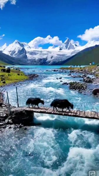 走进雪山走进高原_高原反应怎么办