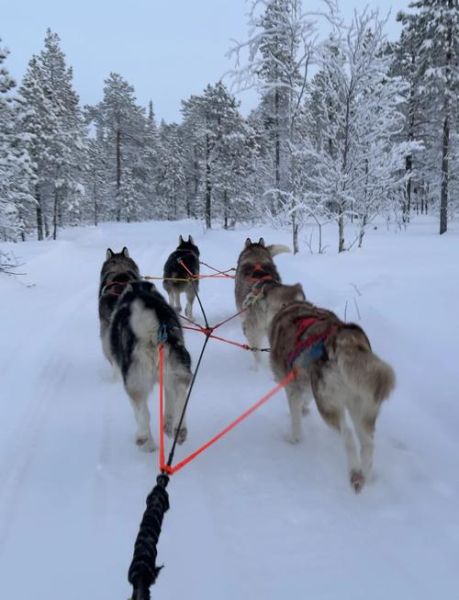 哈士奇户外怎么样_适合长时间徒步吗