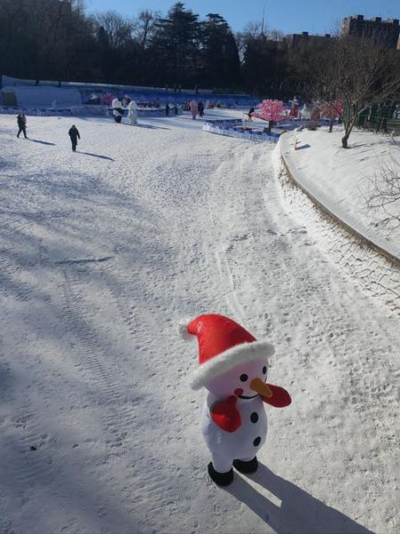 紫莲冰雪节门票价格_紫莲冰雪节有什么好玩的