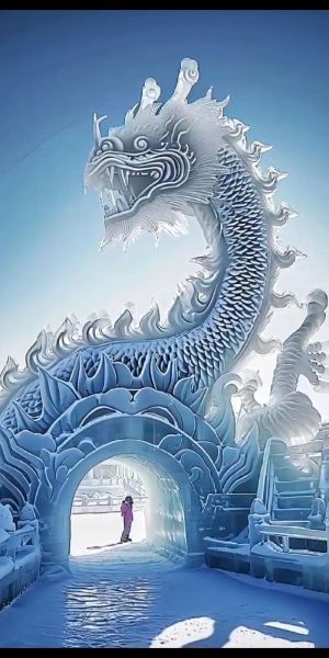 冰雪雕容是什么_冰雪雕容适合哪些人