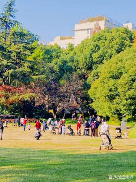 上海好玩的户外活动有哪些_周末去哪儿