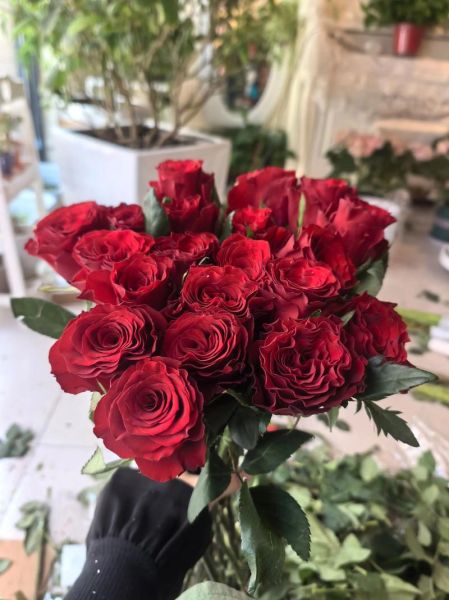 长沙桑拿高原红是什么_长沙桑拿高原红安全吗