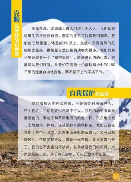 青藏高原有哪些珍稀动物_它们如何适应高寒缺氧