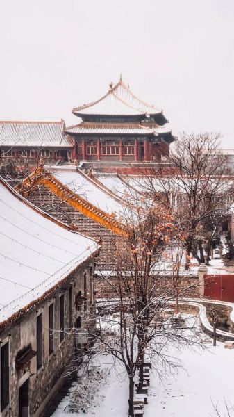 北京雪景哪里最美_如何拍出故宫雪景大片