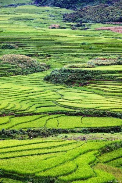 云贵高原坝子有哪些_坝子为何适合居住