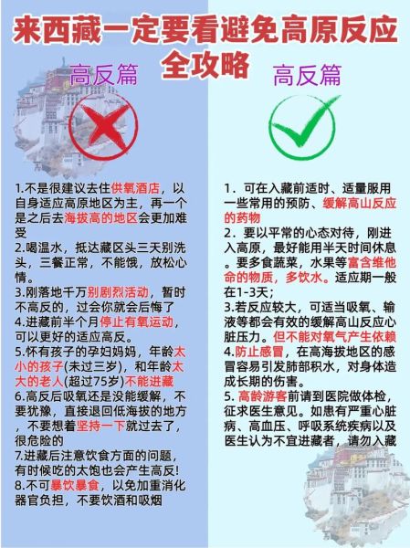 拉萨会不会有高原反应_去拉萨如何预防高反