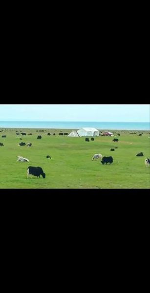 上毛高原怎么去_上毛高原有什么好玩的