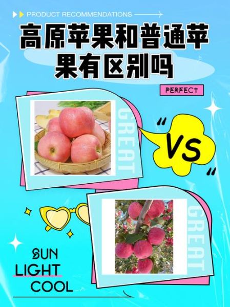 高原反应吃苹果有用吗_高原反应吃苹果注意事项