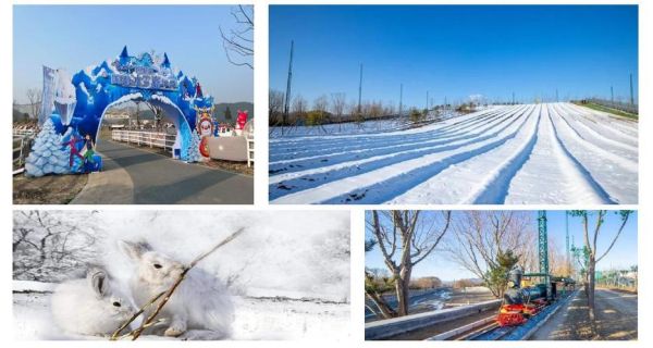 南宫冰雪嘉年华2日游多少钱_怎么玩最划算