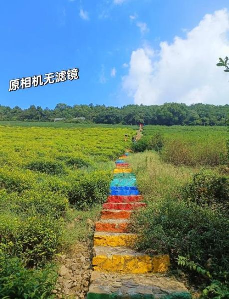 无锡户外徒步路线推荐_无锡适合露营的地方