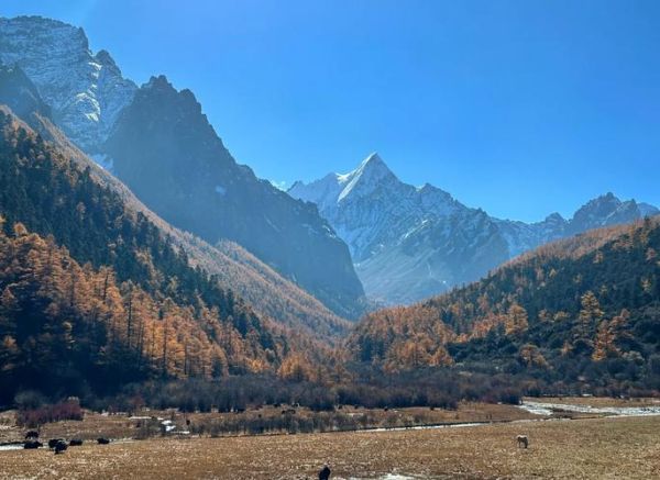 稻城亚丁有高原反应吗_如何预防