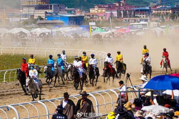 高原赛马场在哪里_高原赛马场海拔多少米