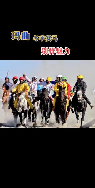 高原赛马场在哪里_高原赛马场海拔多少米