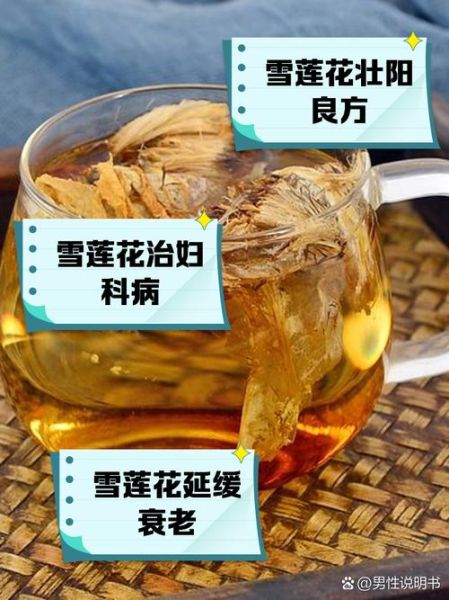 冰雪莲花怎么养_冰雪莲花的功效与作用