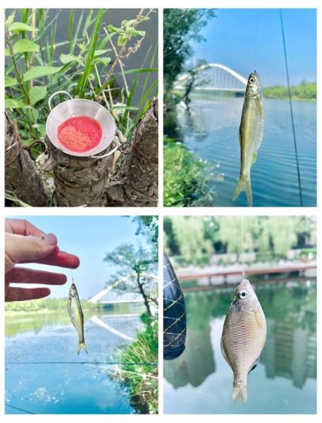 北京水库有哪些_北京水库钓鱼地点推荐