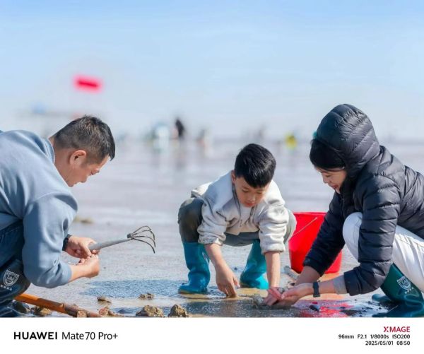 户外蛤蜊怎么挖_蛤蜊哪里最多