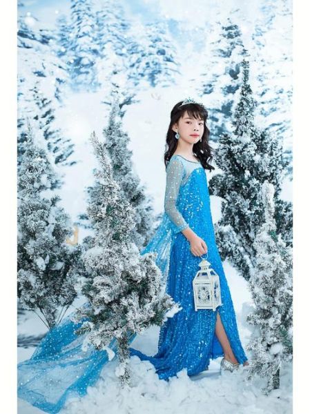 冰雪奇缘主题摄影怎么拍_冰雪奇缘主题摄影多少钱