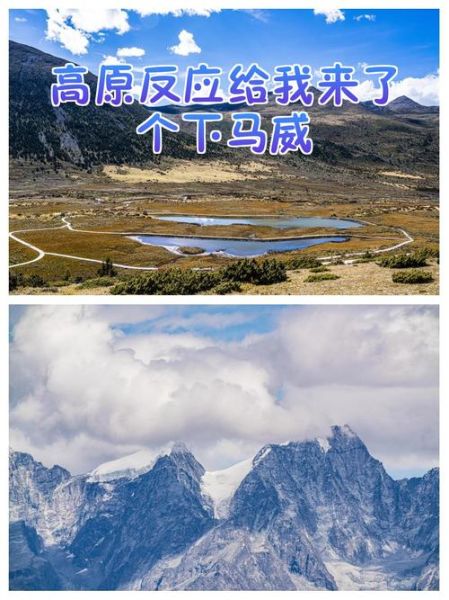 手机高原反应怎么办_高原手机没信号怎么解决