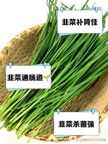 高原韭菜怎么种_高原韭菜营养价值