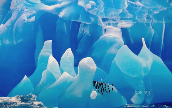 冰雪海洋世界图片大全_高清壁纸哪里下载