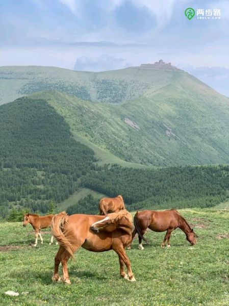 鑫驴户外怎么样_鑫驴户外线路推荐