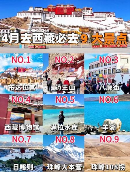 高原海拔最高的是哪里_青藏高原平均海拔多少米