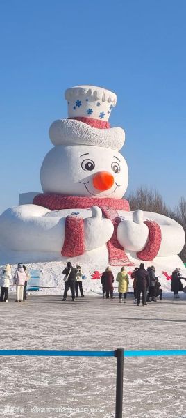 冰雪年华是什么_冰雪年华适合几岁孩子