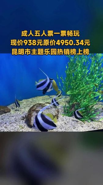 海洋狂欢冰雪节门票价格_值得去吗