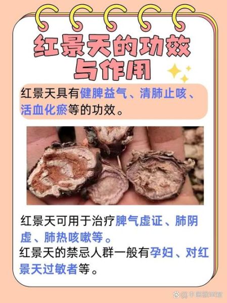 高原反应吃什么药_红景天怎么吃最有效