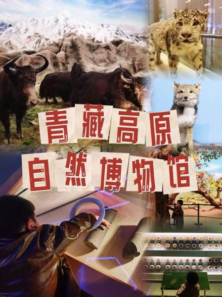 青藏高原自然博物馆值得去吗_门票价格及开放时间