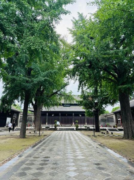 寿县高原在哪里_寿县高原有什么好玩