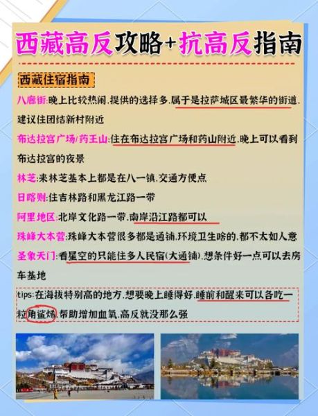 去高原会不会高反_高原旅游注意事项