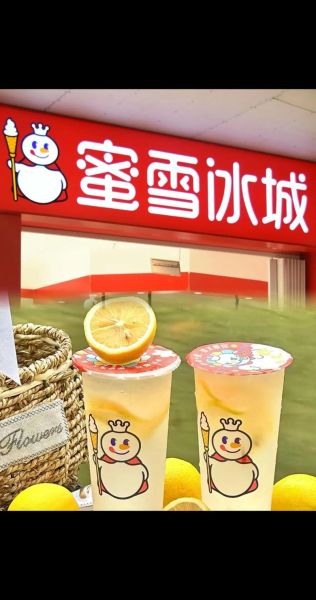 冰雪密城门票多少钱_冰雪密城值得去吗