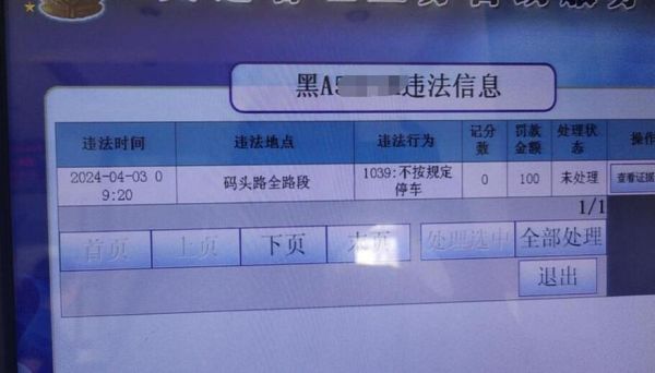 北京违章查询多久能查到_北京交管局官网入口在哪