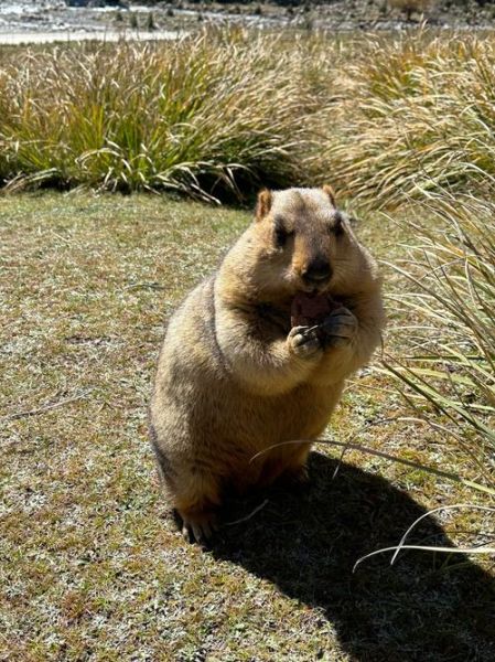 土拨鼠户外怎么样_土拨鼠户外值得买吗