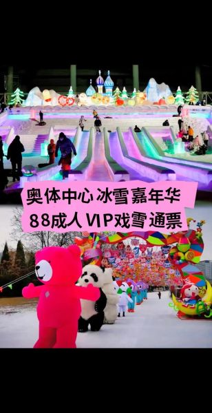 奥体冰雪嘉年华门票价格_有什么好玩的