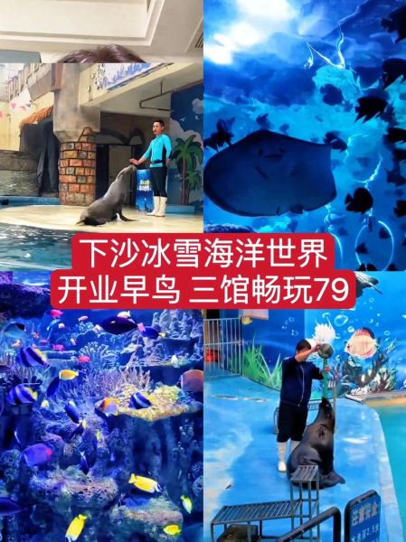 下沙冰雪世界门票价格_开放时间