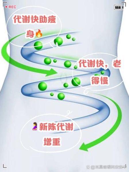 高原地区新陈代谢会变快吗_如何科学适应