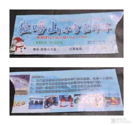 冰雪嘉年华门票价格_冰雪嘉年华门票怎么买