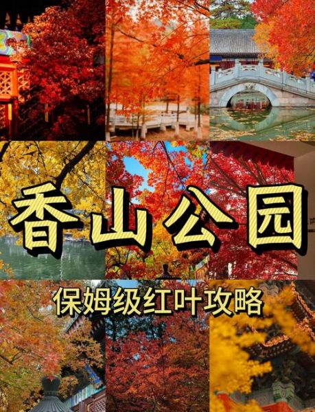 北京香山公园门票价格_香山公园红叶最佳观赏时间