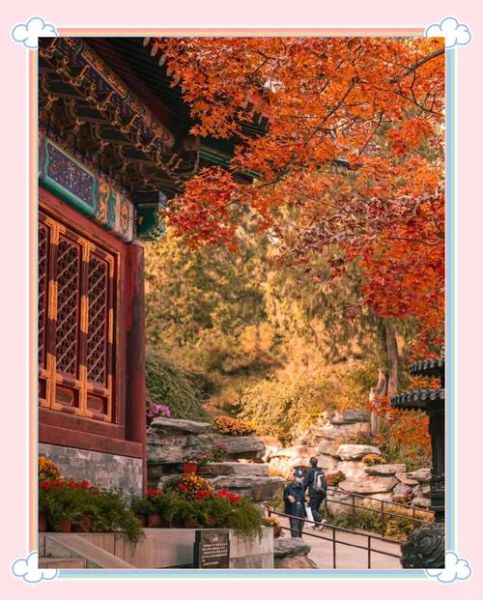 北京香山公园门票价格_香山公园红叶最佳观赏时间